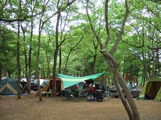 090505城里町キャンプ 038.jpg