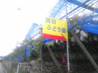 20150930084427738.jpg
