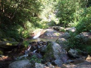 DSCF0119.JPG
