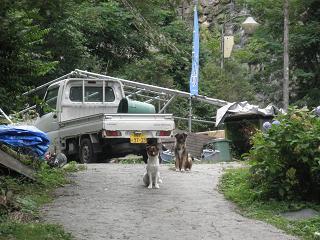 P8220135.JPG