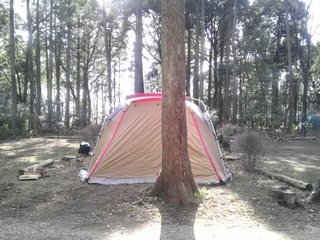 20150422143039801.jpg