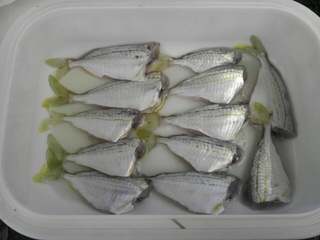 20150506073115062.jpg