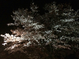 20160916083501034.jpg
