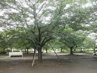 P6230001.JPG