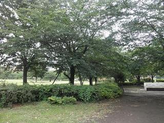 P6230002.JPG